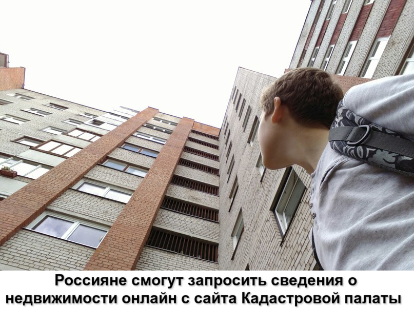 Россияне смогут запросить сведения о недвижимости онлайн с сайта Кадастровой палаты